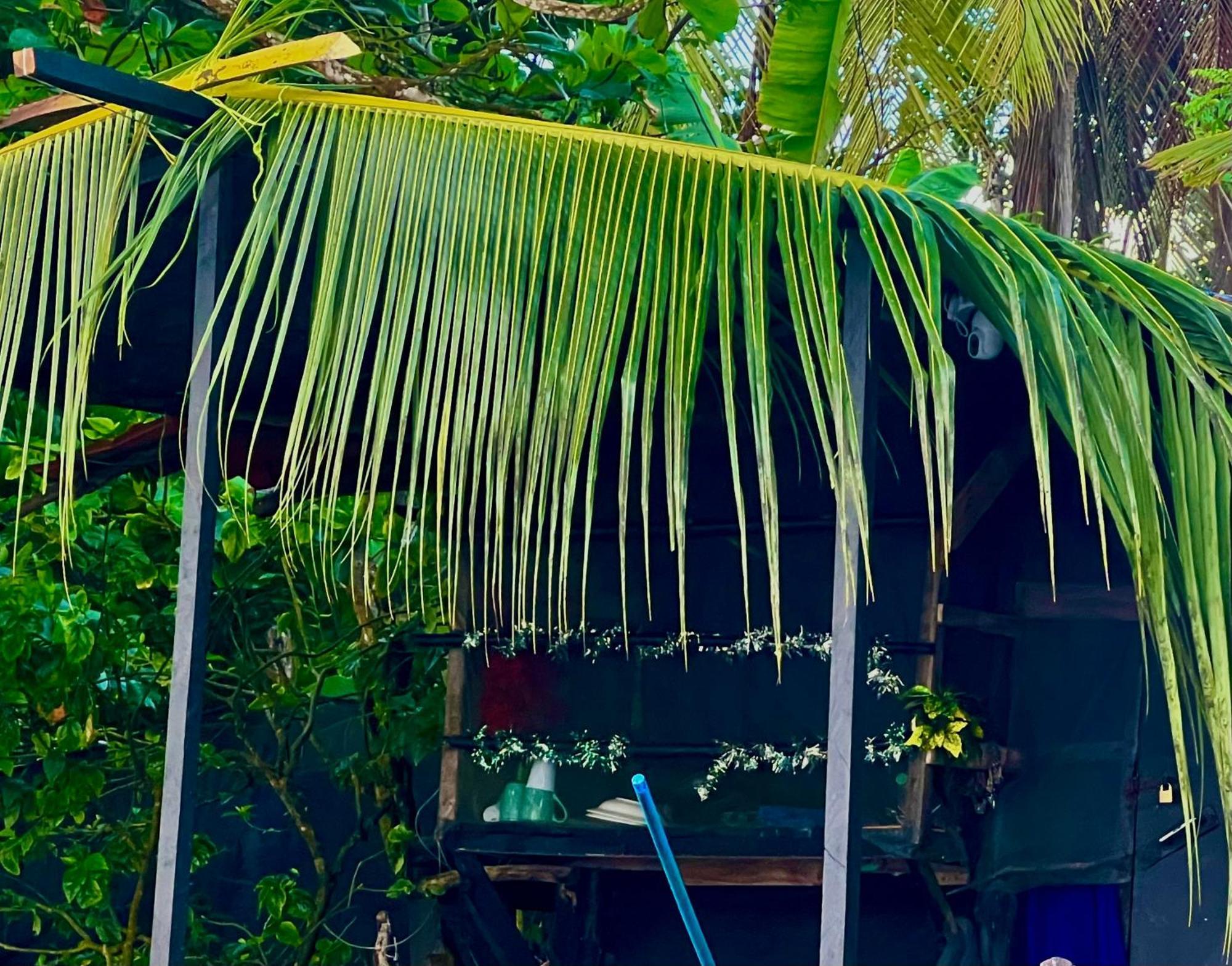 Beachfront Paradise Manuel Antonio Exterior photo