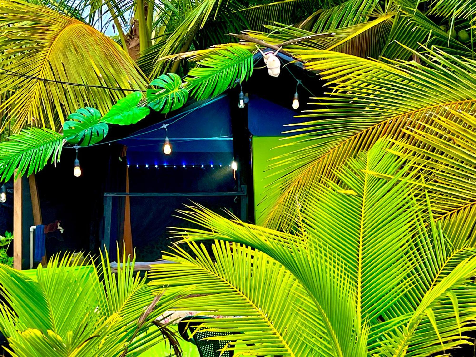 Beachfront Paradise Manuel Antonio Exterior photo